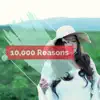 Kaw Kaw - 10000 Reasons - Single